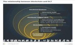 区块链应用领域的现状与未来：从金融到医疗的