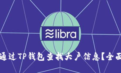 如何通过TP钱包查找大户信息？全面指南