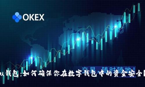 u钱包：如何确保你在数字钱包中的资金安全？