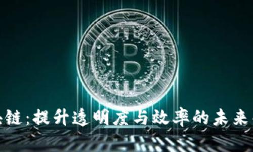 政务区块链：提升透明度与效率的未来解决方案