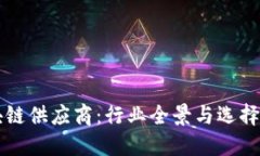 区块链供应商：行业全景