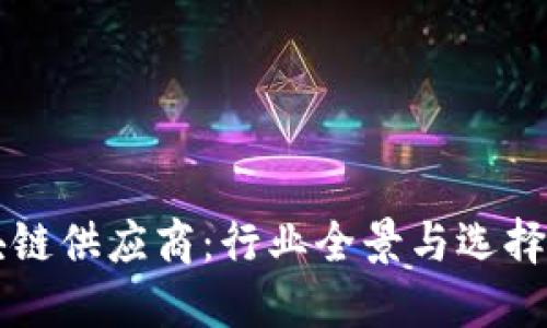 区块链供应商：行业全景与选择指南