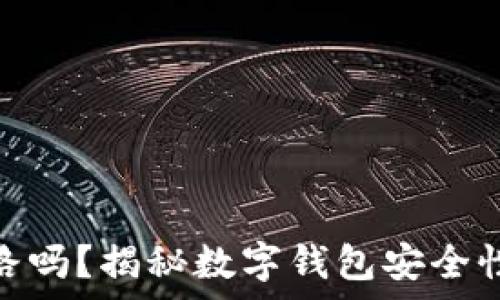   
tp钱包会跑路吗？揭秘数字钱包安全性与使用风险