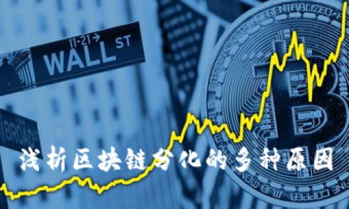 浅析区块链分化的多种原因