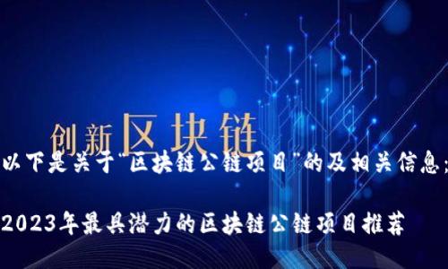 以下是关于“区块链公链项目”的及相关信息：

2023年最具潜力的区块链公链项目推荐