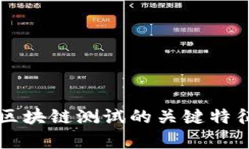 深入解析区块链测试的关键特征及其应用