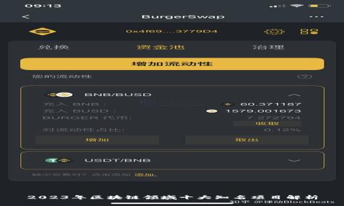 2023年区块链领域十大知名项目解析