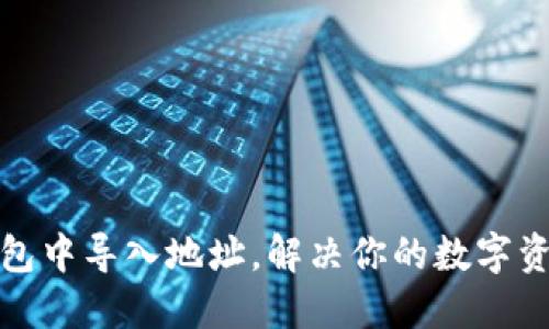 如何在TP钱包中导入地址，解决你的数字资产管理困扰