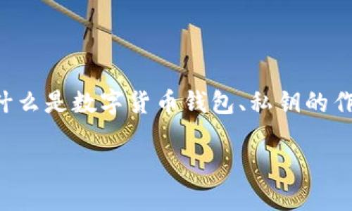 在讨论TP钱包私钥之前，让我们深入理解什么是数字货币钱包、私钥的作用，以及如何安全地管理这些重要的数据。

了解TP钱包私钥：保护您的数字资产安全