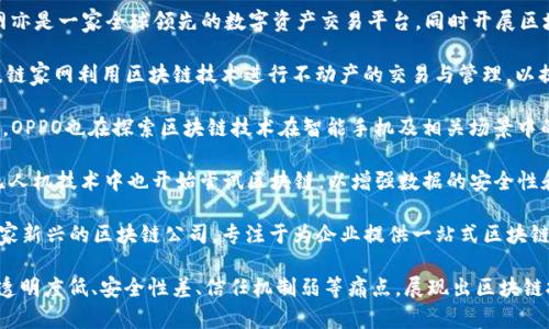 国内在区块链领域有许多公司，各自专注于不同的应用场景和技术研发。以下是一些知名的区块链公司：

1. **百度** - 百度在区块链技术方面有多项布局，包括推出了自己的区块链平台“百度区块链云”。

2. **阿里巴巴** - 阿里巴巴旗下的蚂蚁金服在区块链技术方面展开了多项业务，尤其是在金融服务和跨境支付领域。

3. **腾讯** - 腾讯推出了自己的区块链平台“腾讯区块链”，并在多个领域进行探索，包括数字版权、供应链管理等。

4. **比原链（Bytom）** - 比原链是一条专注于资产管理的区块链，通过提供更高效的资产流通和管理方案。

5. **币安（Binance）** - 虽然币安是全球知名的加密货币交易所，但其涉及的区块链生态系统也在中国有着重要影响。

6. **火币网（Huobi）** - 火币网亦是一家全球领先的数字资产交易平台，同时开展区块链技术的研发与应用。

7. **链家网** - 在房地产领域，链家网利用区块链技术进行不动产的交易与管理，以提高透明性和安全性。

8. **OPPO** - 在技术创新方面，OPPO也在探索区块链技术在智能手机及相关场景中的应用。

9. **大疆（DJI）** - 大疆在其无人机技术中也开始尝试区块链，以增强数据的安全性和数据溯源能力。

10. **Cent Chain** - 这是一家新兴的区块链公司，专注于为企业提供一站式区块链解决方案。

这些公司利用区块链技术来解决透明度低、安全性差、信任机制弱等痛点，展现出区块链技术在各个行业的应用潜力。