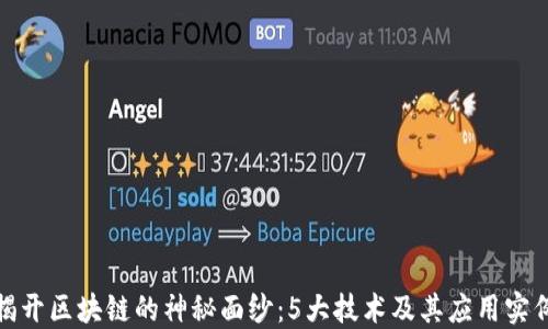 
揭开区块链的神秘面纱：5大技术及其应用实例