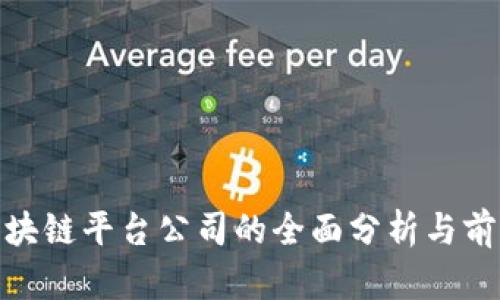 推特区块链平台公司的全面分析与前景探讨