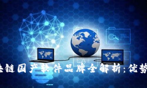 2023年区块链国产软件品牌全解析:优势与应用场景
