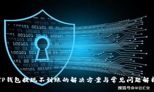 TP钱包提现不到账的解决方案与常见问题解析