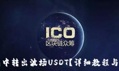   
如何在TP钱包中转出波场USDT？详细教程与常见问题解析