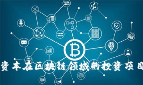 高瓴资本在区块链领域的投资项目全解