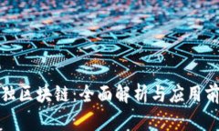 数独区块链：全面解析与