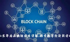 山东华为区块链项目详解