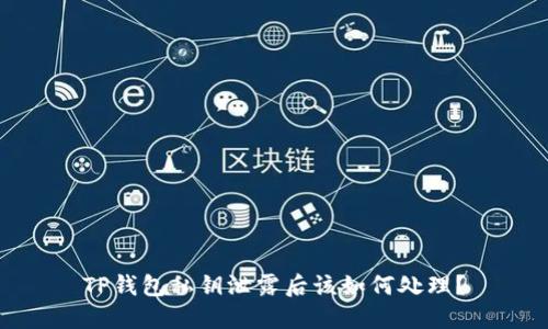 TP钱包私钥泄露后该如何处理？