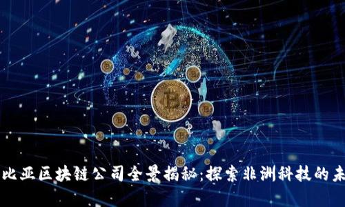 赞比亚区块链公司全景揭秘：探索非洲科技的未来