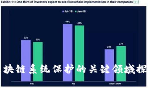 区块链系统保护的关键领域探讨