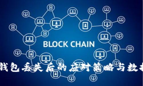 TP钱包HD钱包丢失后的应对策略与数据恢复指南