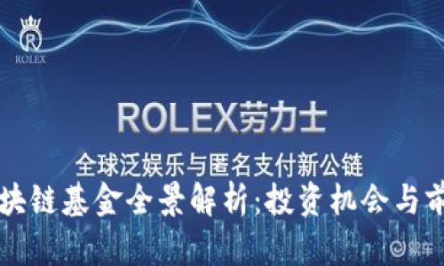 海南区块链基金全景解析：投资机会与前景展望