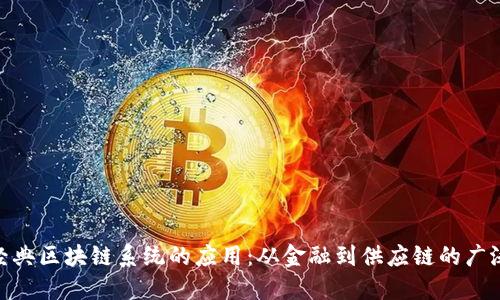 探索经典区块链系统的应用：从金融到供应链的广泛影响