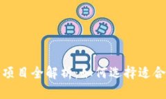 区块链融资项目全解析：