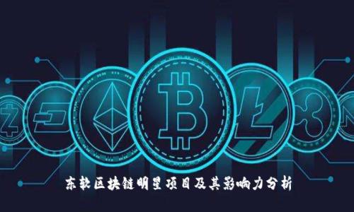 东软区块链明星项目及其影响力分析