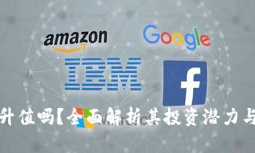 TP钱包能升值吗？全面解析其投资潜力与市场前景