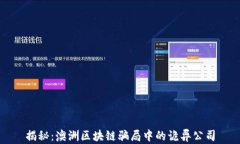 揭秘：澳洲区块链骗局中
