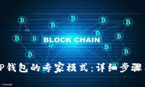 如何打开TP钱包的专家模式：详细步骤与功能指南