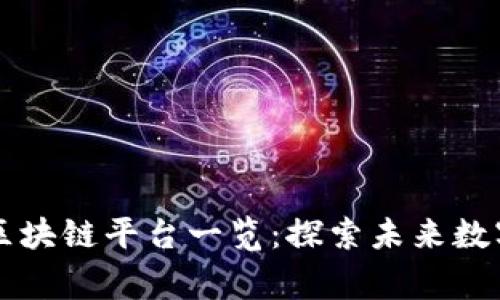 国家认可的区块链平台一览：探索未来数字经济的基石