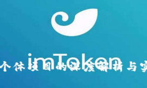 区块链个体项目的深度解析与实用指南