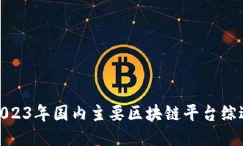 2023年国内主要区块链平台综述