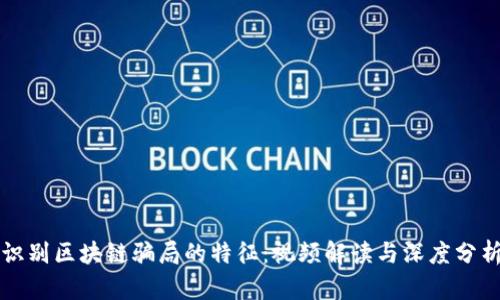 识别区块链骗局的特征：视频解读与深度分析