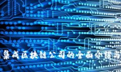 美国集成区块链公司的全