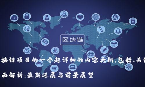 下面是关于国内区块链项目的一个超详细的内容大纲，包括、关键词以及相关问题。

国内区块链项目全面解析：最新进展与前景展望