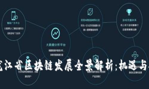 黑龙江省区块链发展全景解析：机遇与挑战