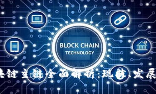 2023年区块链主链全面解析：现状、发展与未来趋势
