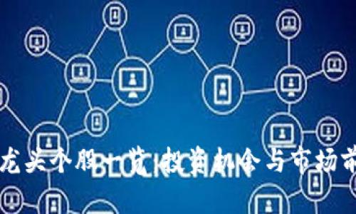 区块链龙头个股一览：投资机会与市场前景分析