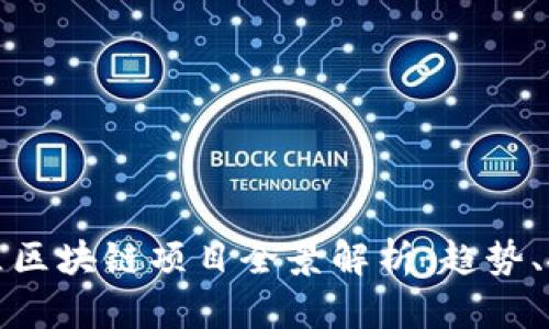 成都高新区区块链项目全景解析：趋势、挑战与机遇