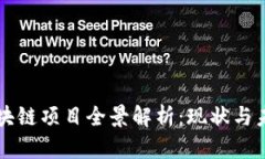 成都区块链项目全景解析