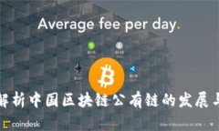 全面解析中国区块链公有