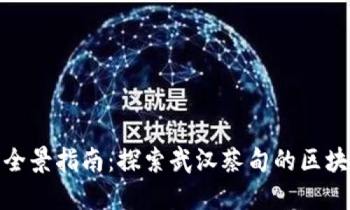 蔡甸区区块链公司全景指南：探索武汉蔡甸的区块链企业与创新机会