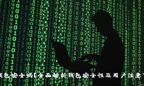 TP钱包安全吗？全面解析钱包安全性及用户注意事项