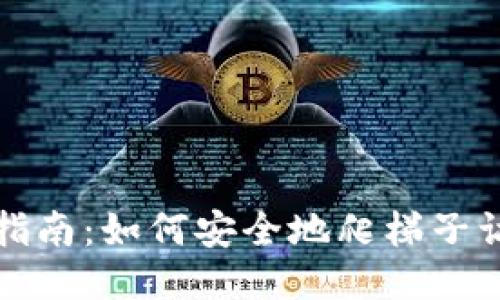 TP钱包使用指南：如何安全地爬梯子访问海外网站