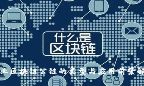 企业区块链公链的类型与应用前景解析