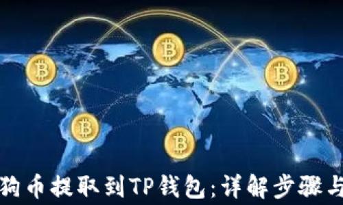 
如何将狗狗币提取到TP钱包：详解步骤与注意事项